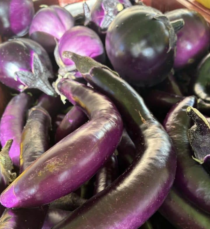 Aubergines longues et violettes
