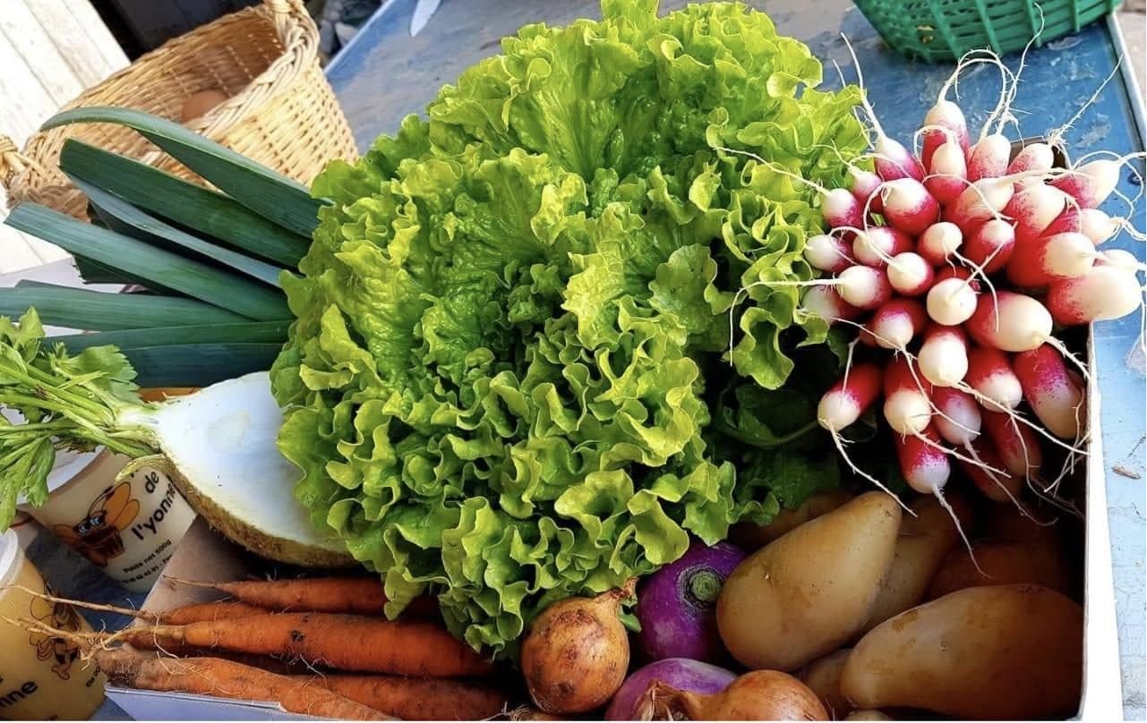 Panier de légumes : salade frisée, radis, poireaux, carottes et pommes de terre